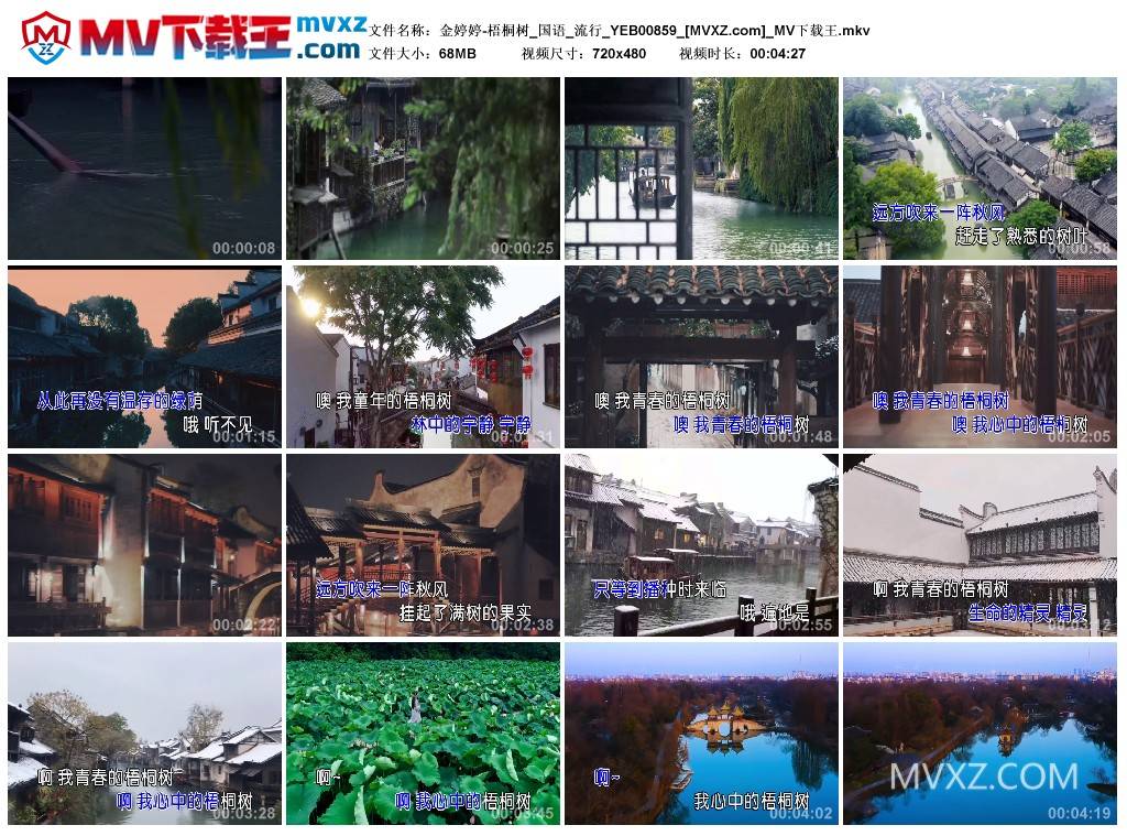 金婷婷-梧桐树_国语_流行_YEB00859